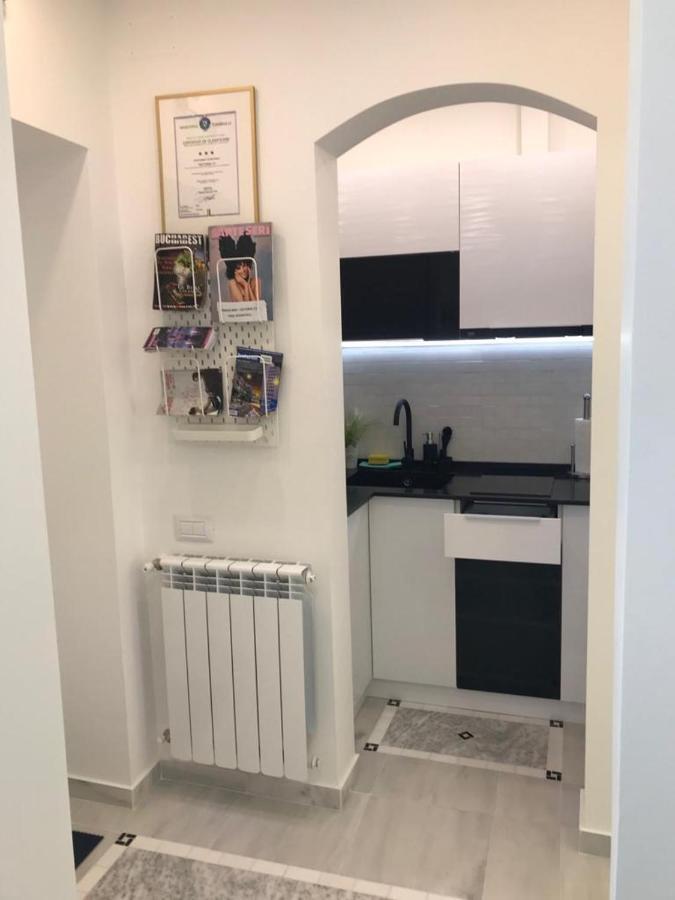 Victoria Luxury Apartment 11 بوخارست المظهر الخارجي الصورة